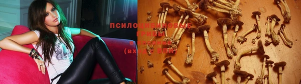 ECSTASY Вяземский