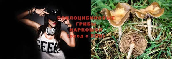 прущая мука Вязьма