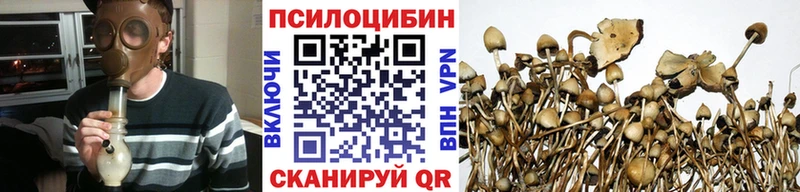 Галлюциногенные грибы Magic Shrooms  Новосокольники 